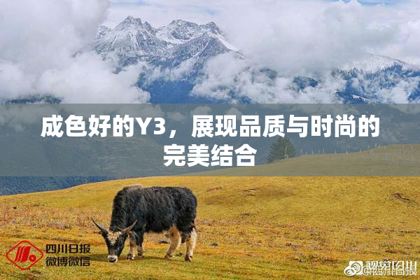 成色好的Y3，展现品质与时尚的完美结合