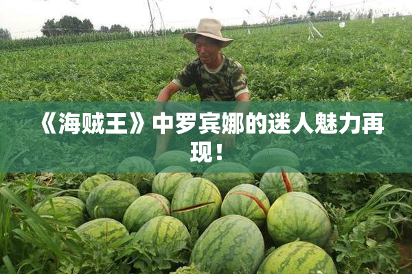 《海贼王》中罗宾娜的迷人魅力再现！