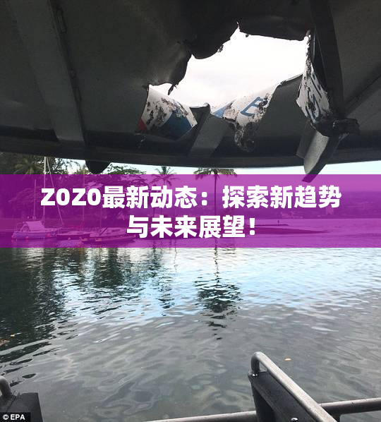 Z0Z0最新动态：探索新趋势与未来展望！