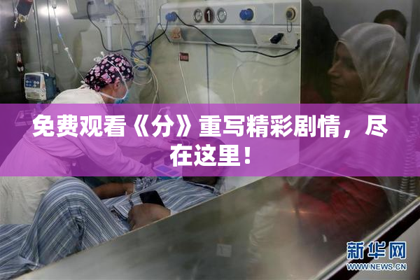 免费观看《分》重写精彩剧情，尽在这里！
