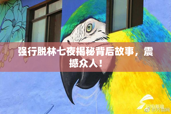 强行脱林七夜揭秘背后故事，震撼众人！
