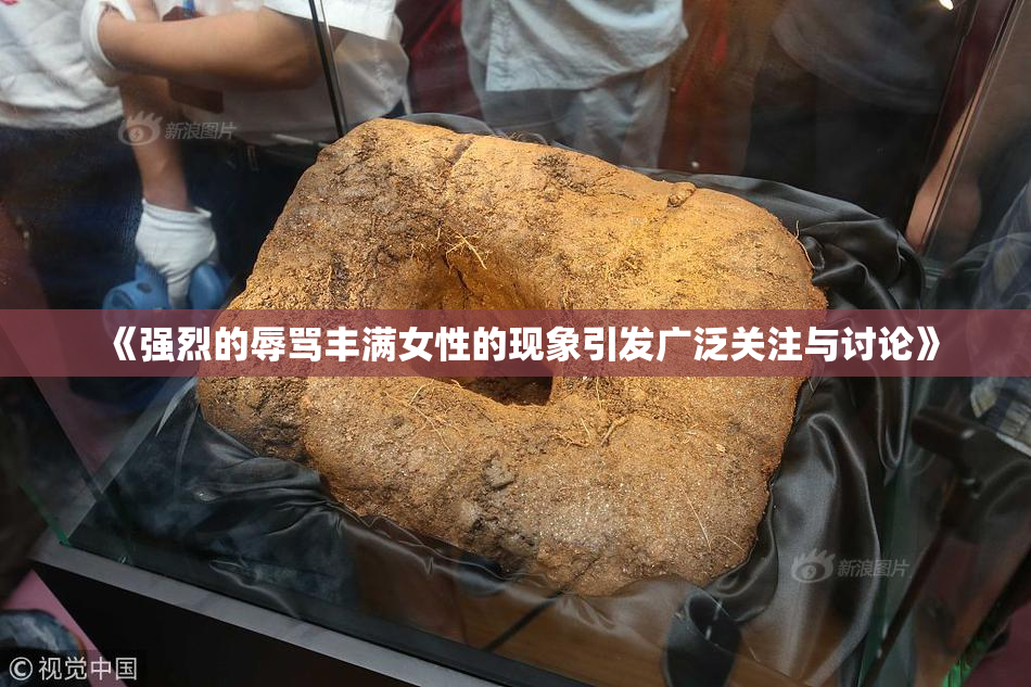 《强烈的辱骂丰满女性的现象引发广泛关注与讨论》