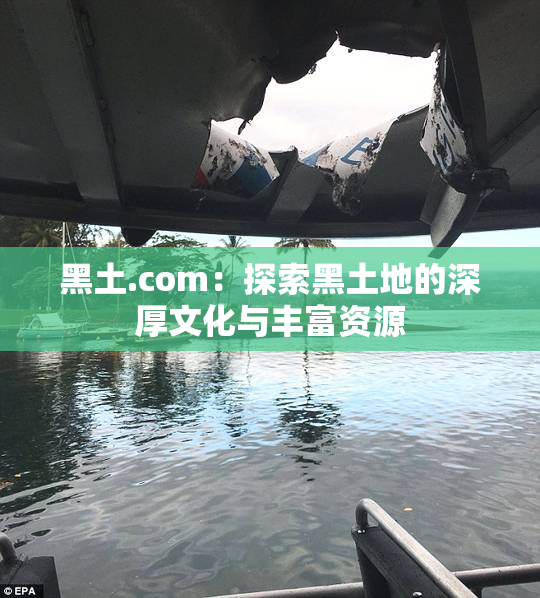 黑土.com：探索黑土地的深厚文化与丰富资源