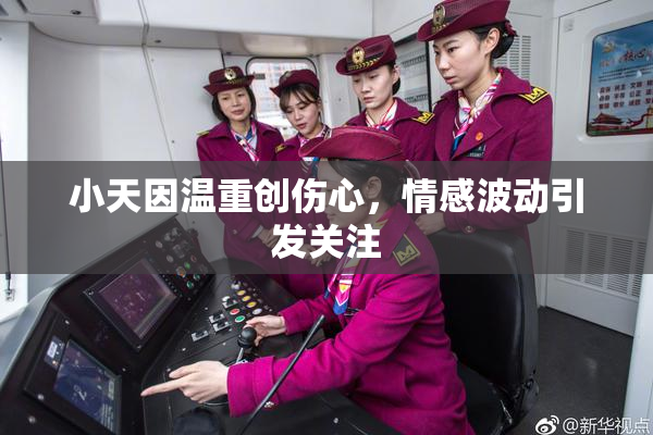 小天因温重创伤心，情感波动引发关注