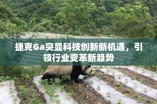 捷克Ga突显科技创新新机遇，引领行业变革新趋势