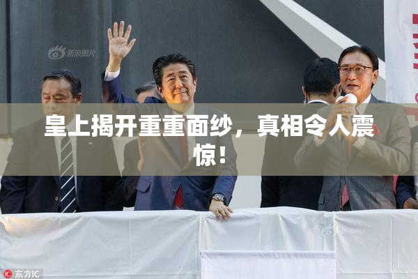 皇上揭开重重面纱，真相令人震惊！