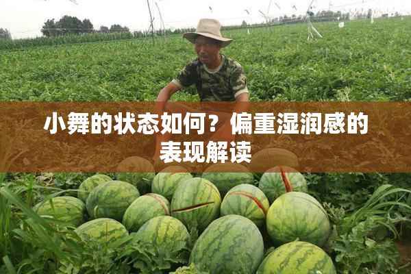 小舞的状态如何？偏重湿润感的表现解读