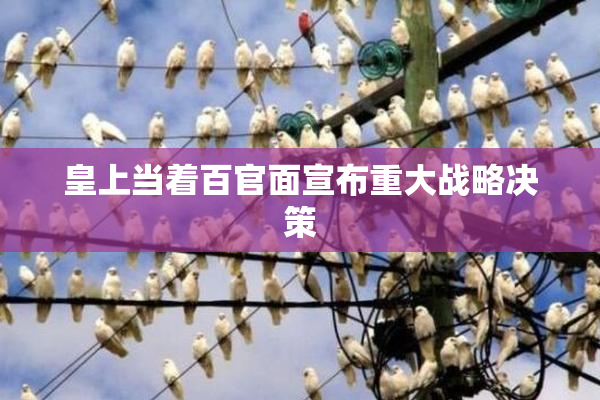 皇上当着百官面宣布重大战略决策