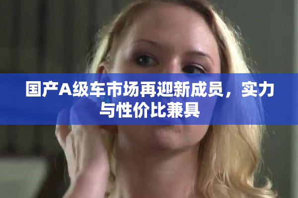 国产A级车市场再迎新成员，实力与性价比兼具