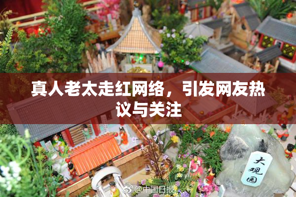 真人老太走红网络，引发网友热议与关注