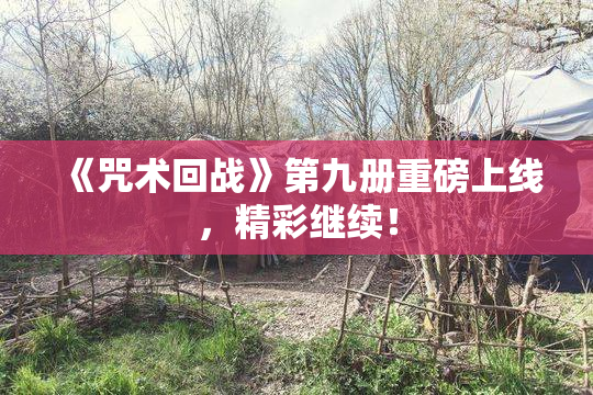 《咒术回战》第九册重磅上线，精彩继续！