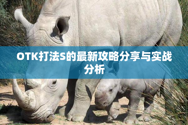 OTK打法S的最新攻略分享与实战分析