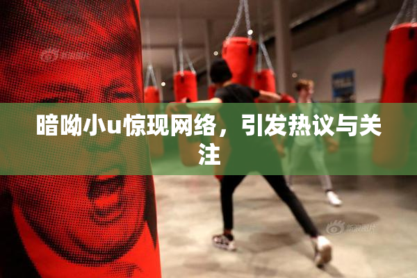 暗呦小u惊现网络，引发热议与关注