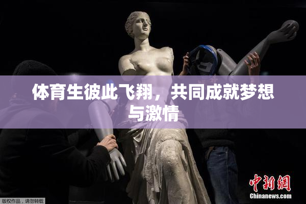 体育生彼此飞翔，共同成就梦想与激情