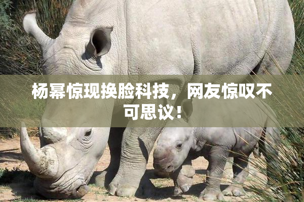杨幂惊现换脸科技，网友惊叹不可思议！