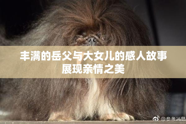 丰满的岳父与大女儿的感人故事展现亲情之美