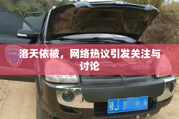 洛天依被，网络热议引发关注与讨论