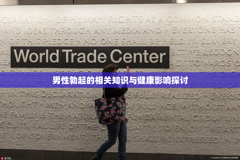 男性勃起的相关知识与健康影响探讨