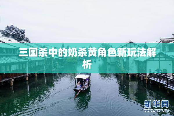 三国杀中的奶杀黄角色新玩法解析