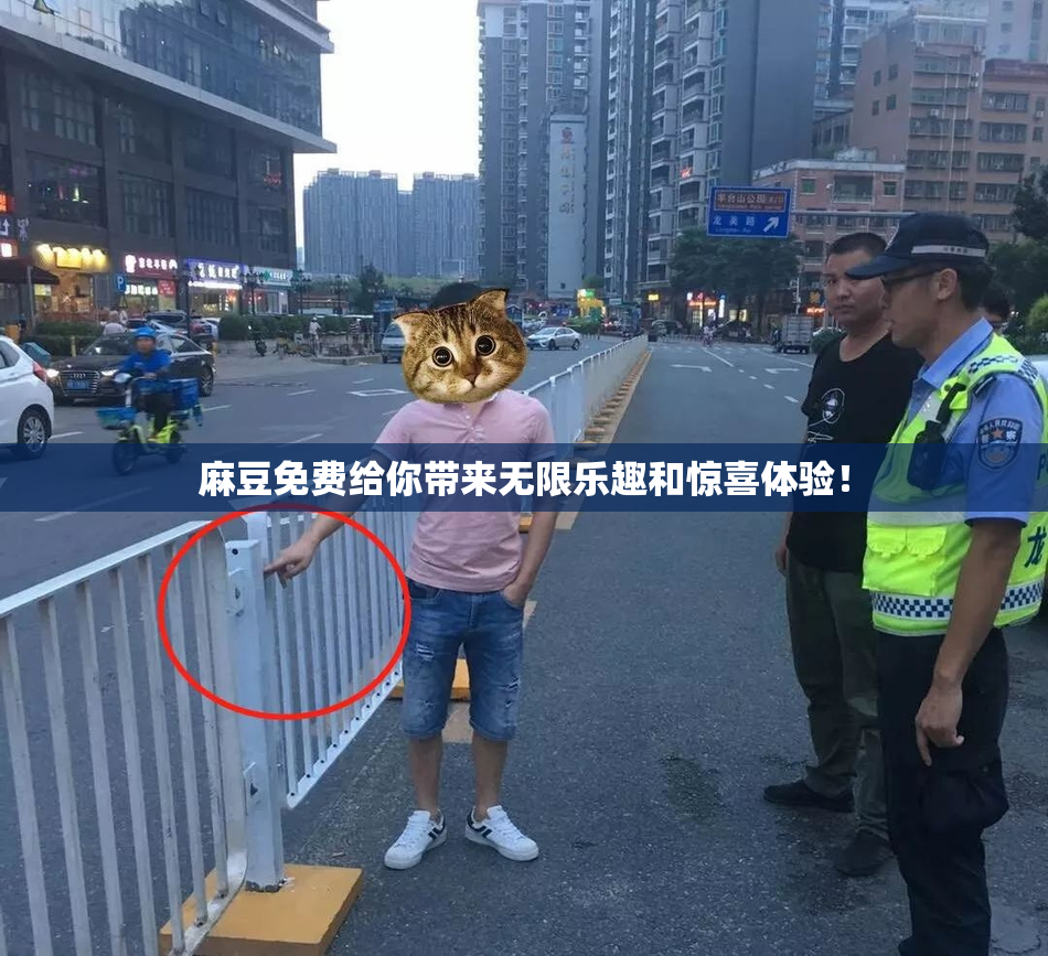 麻豆免费给你带来无限乐趣和惊喜体验！