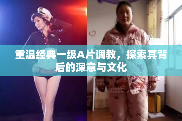 重温经典一级A片调教，探索其背后的深意与文化