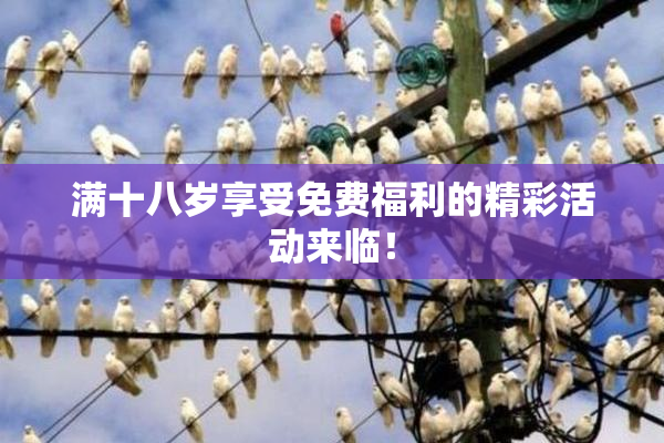 满十八岁享受免费福利的精彩活动来临！