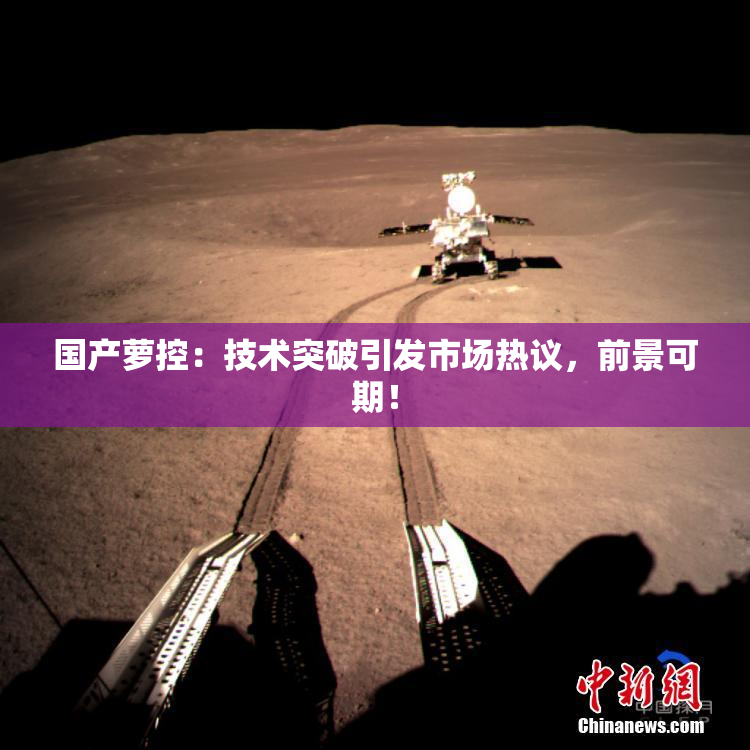 国产萝控：技术突破引发市场热议，前景可期！