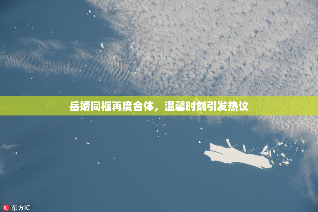 岳婿同框再度合体，温馨时刻引发热议