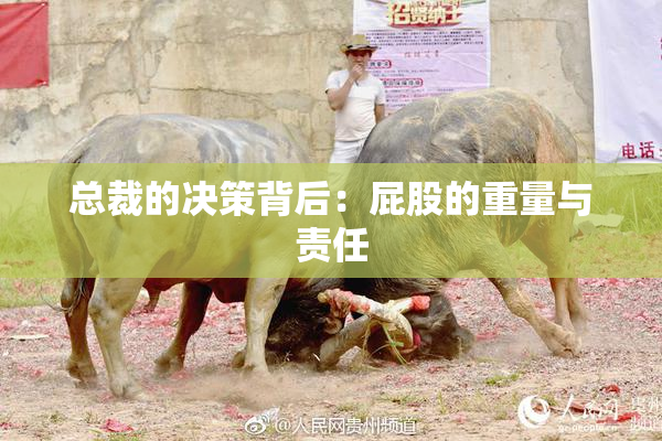 总裁的决策背后：屁股的重量与责任