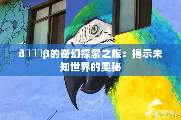 👙β的奇幻探索之旅：揭示未知世界的奥秘