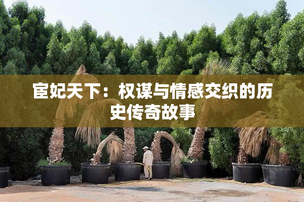 宦妃天下：权谋与情感交织的历史传奇故事