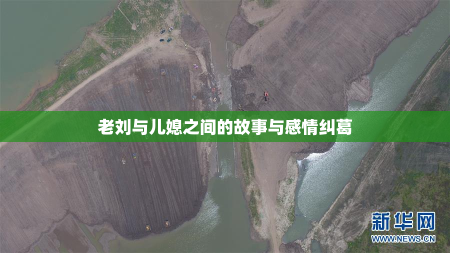 老刘与儿媳之间的故事与感情纠葛