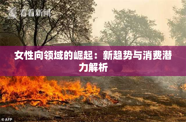 女性向领域的崛起：新趋势与消费潜力解析