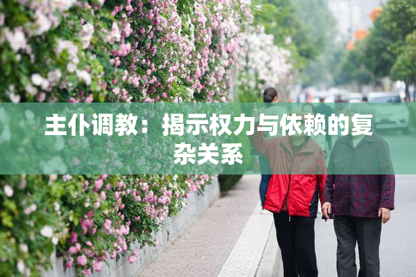 主仆调教：揭示权力与依赖的复杂关系