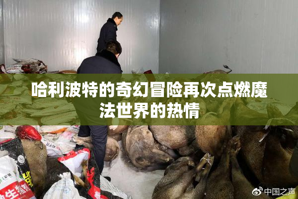 哈利波特的奇幻冒险再次点燃魔法世界的热情