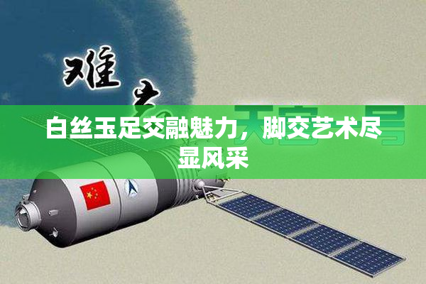 白丝玉足交融魅力，脚交艺术尽显风采