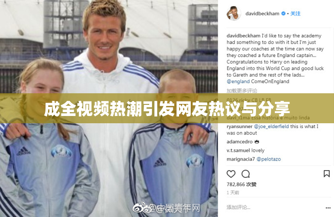 成全视频热潮引发网友热议与分享
