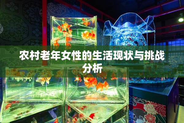 农村老年女性的生活现状与挑战分析