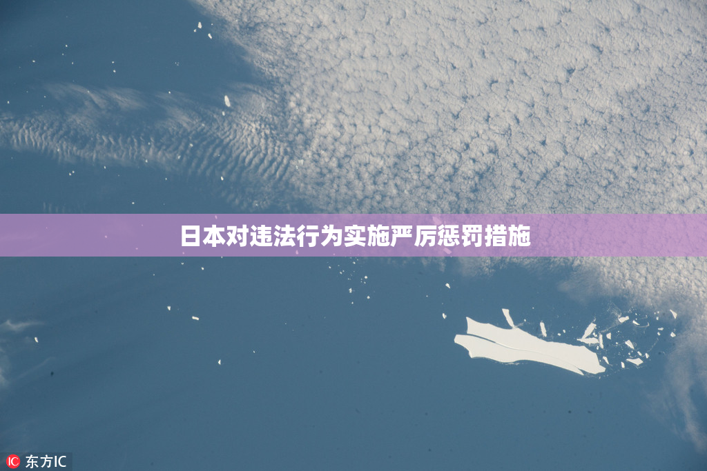 日本对违法行为实施严厉惩罚措施