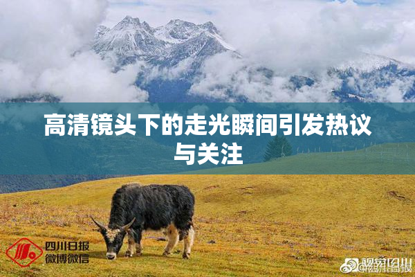 高清镜头下的走光瞬间引发热议与关注