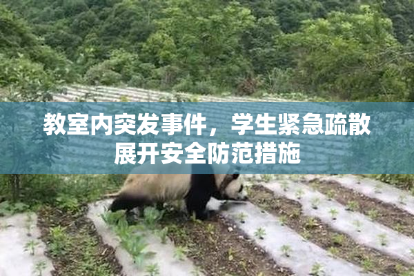教室内突发事件，学生紧急疏散展开安全防范措施