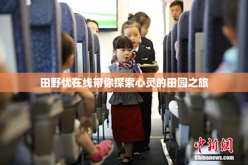 田野忧在线带你探索心灵的田园之旅