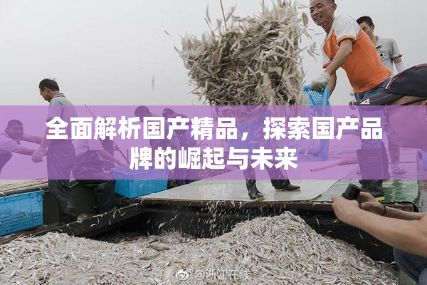 全面解析国产精品，探索国产品牌的崛起与未来