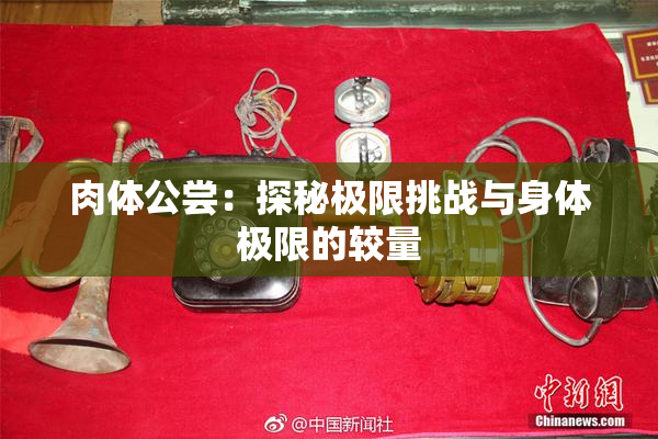 肉体公尝：探秘极限挑战与身体极限的较量