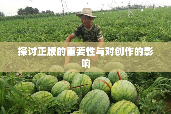 探讨正版的重要性与对创作的影响