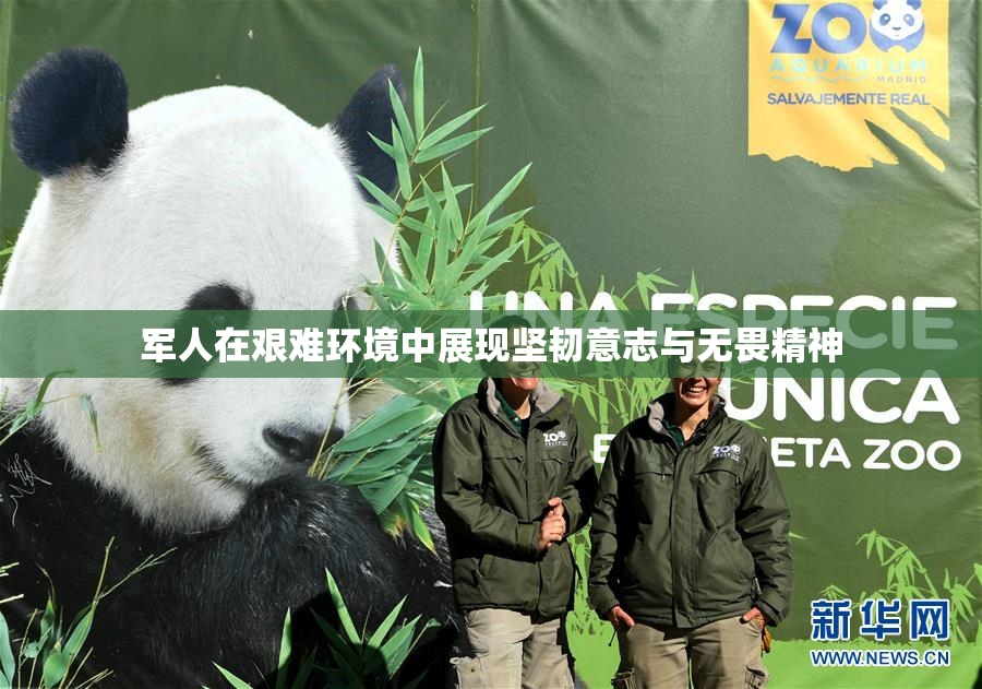 军人在艰难环境中展现坚韧意志与无畏精神