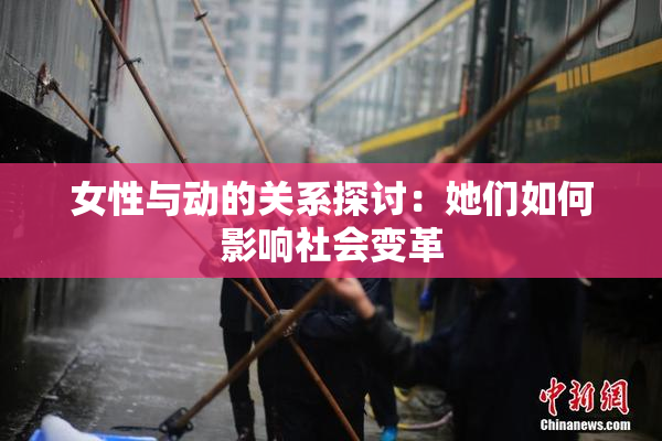 女性与动的关系探讨：她们如何影响社会变革