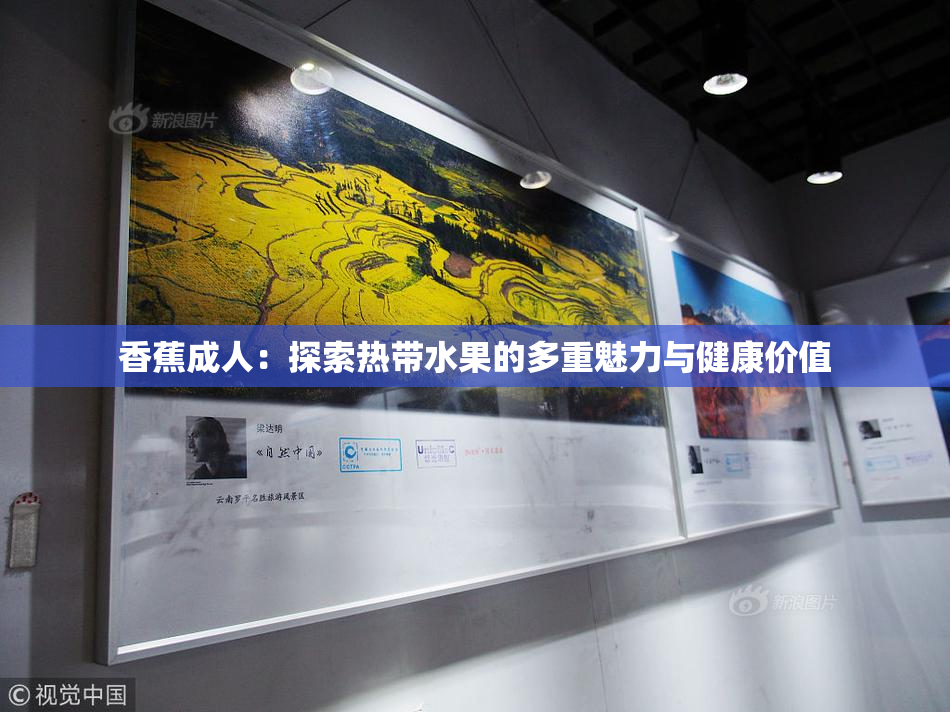 香蕉成人：探索热带水果的多重魅力与健康价值