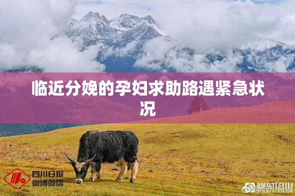 临近分娩的孕妇求助路遇紧急状况