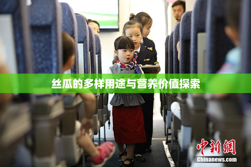 丝瓜的多样用途与营养价值探索